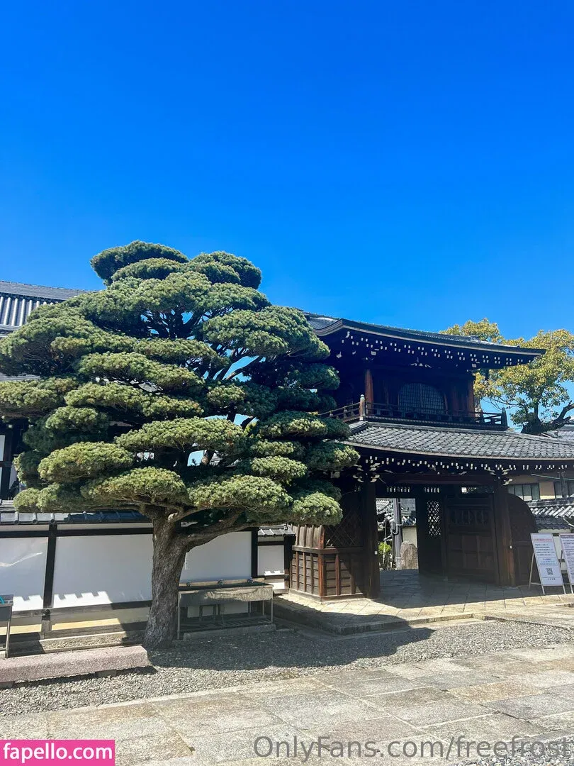 freefrost Onlyfans Photo Gallery 