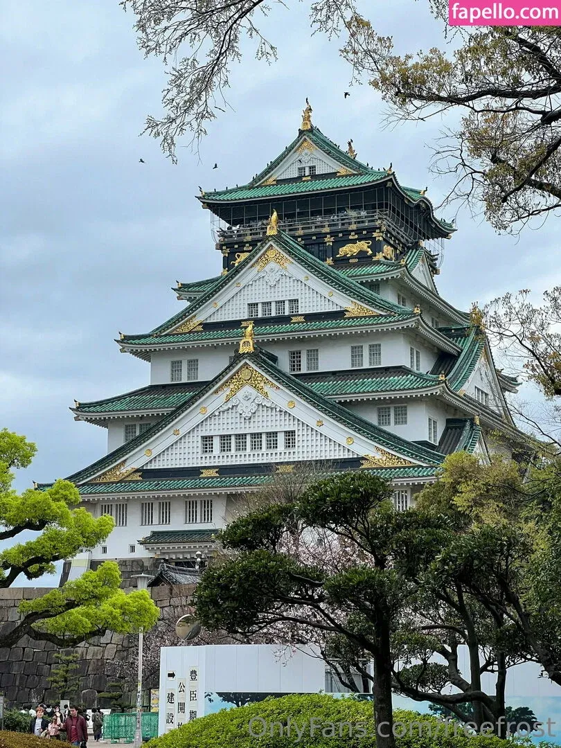 freefrost Onlyfans Photo Gallery 