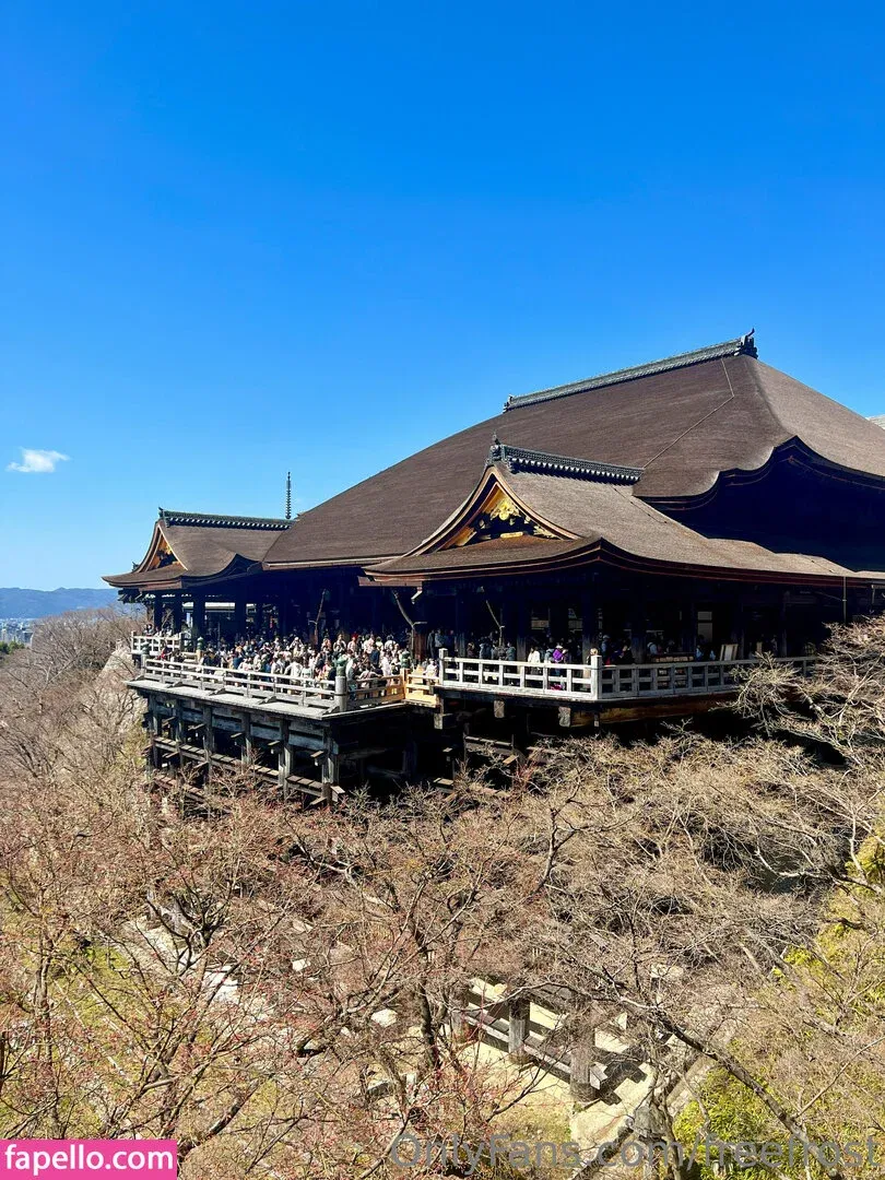 freefrost Onlyfans Photo Gallery 