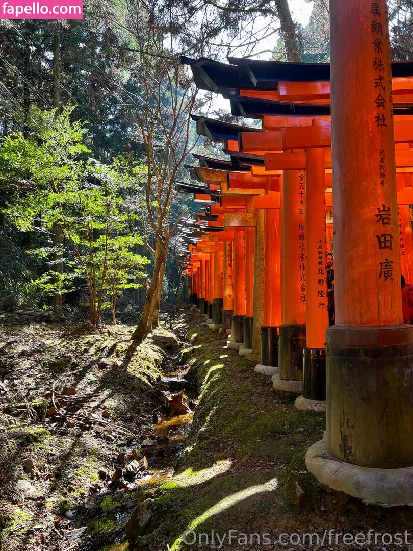 freefrost Onlyfans Photo Gallery 