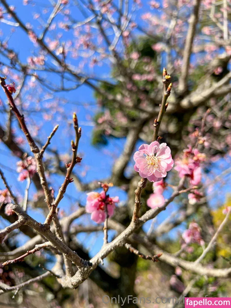 freefrost Onlyfans Photo Gallery 