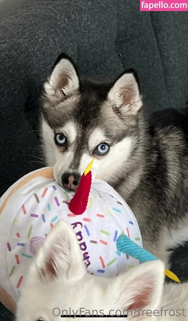 freefrost Onlyfans Photo Gallery 