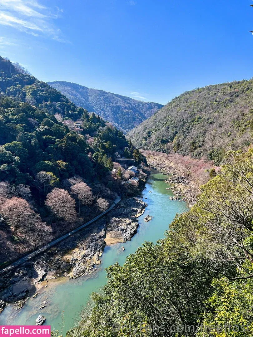 freefrost Onlyfans Photo Gallery 