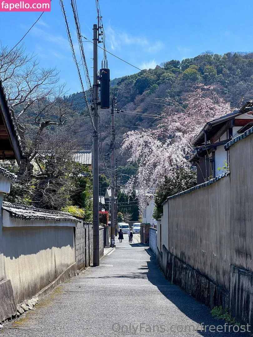 freefrost Onlyfans Photo Gallery 