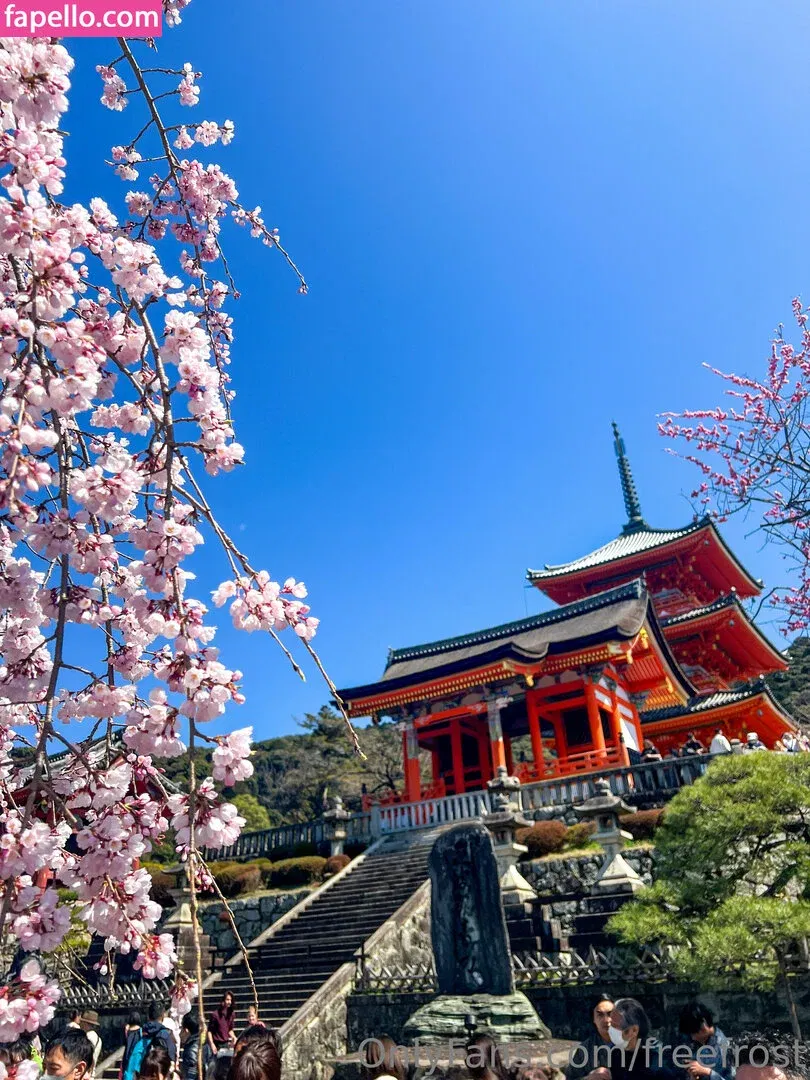 freefrost Onlyfans Photo Gallery 