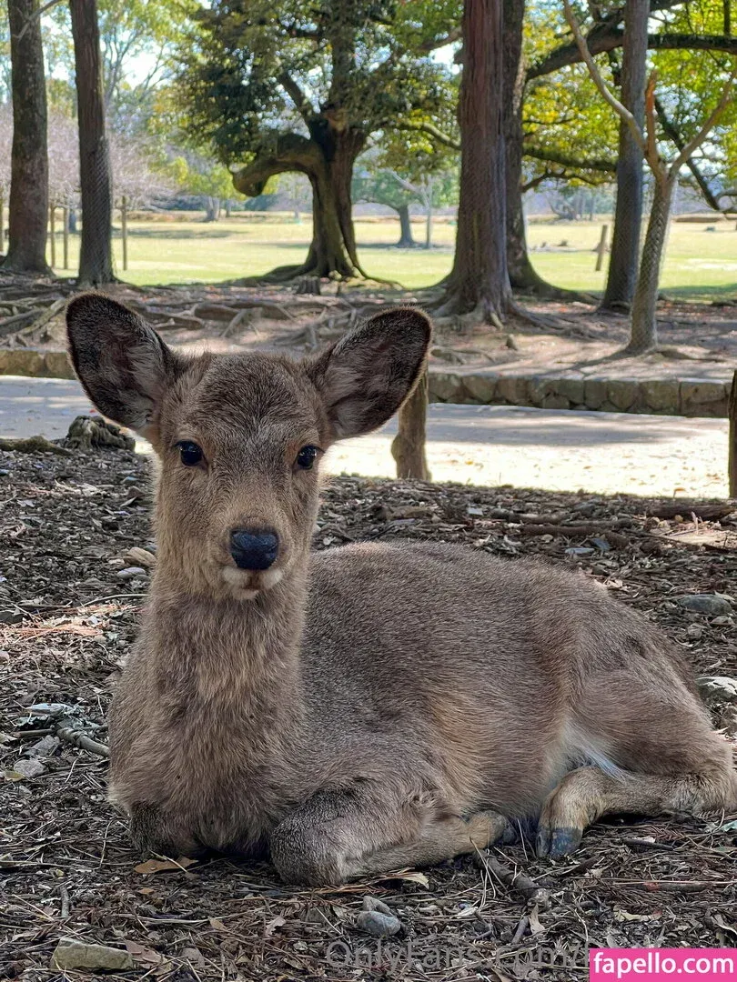 freefrost Onlyfans Photo Gallery 