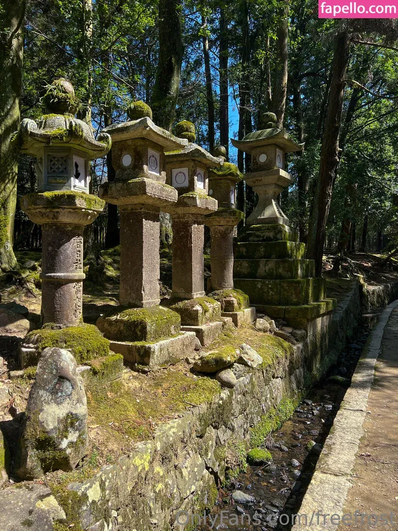 freefrost Onlyfans Photo Gallery 