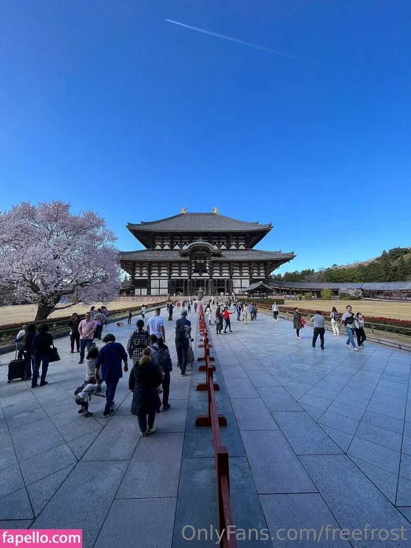 freefrost Onlyfans Photo Gallery 