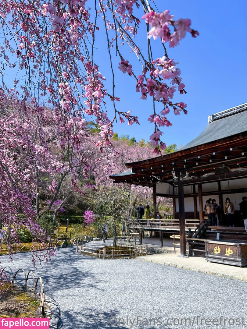 freefrost Onlyfans Photo Gallery 