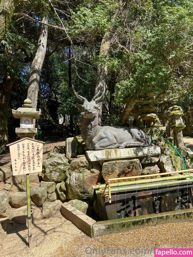 freefrost Onlyfans Photo Gallery 