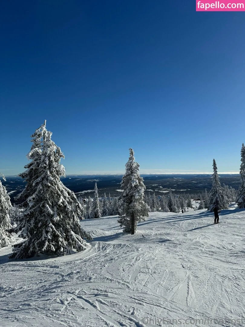 freefrost Onlyfans Photo Gallery 