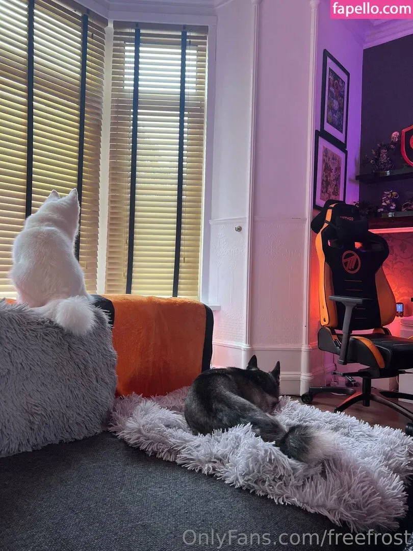 freefrost Onlyfans Photo Gallery 