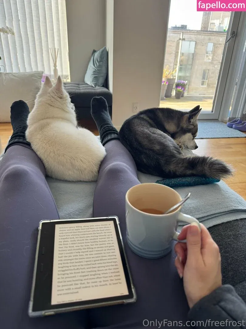 freefrost Onlyfans Photo Gallery 