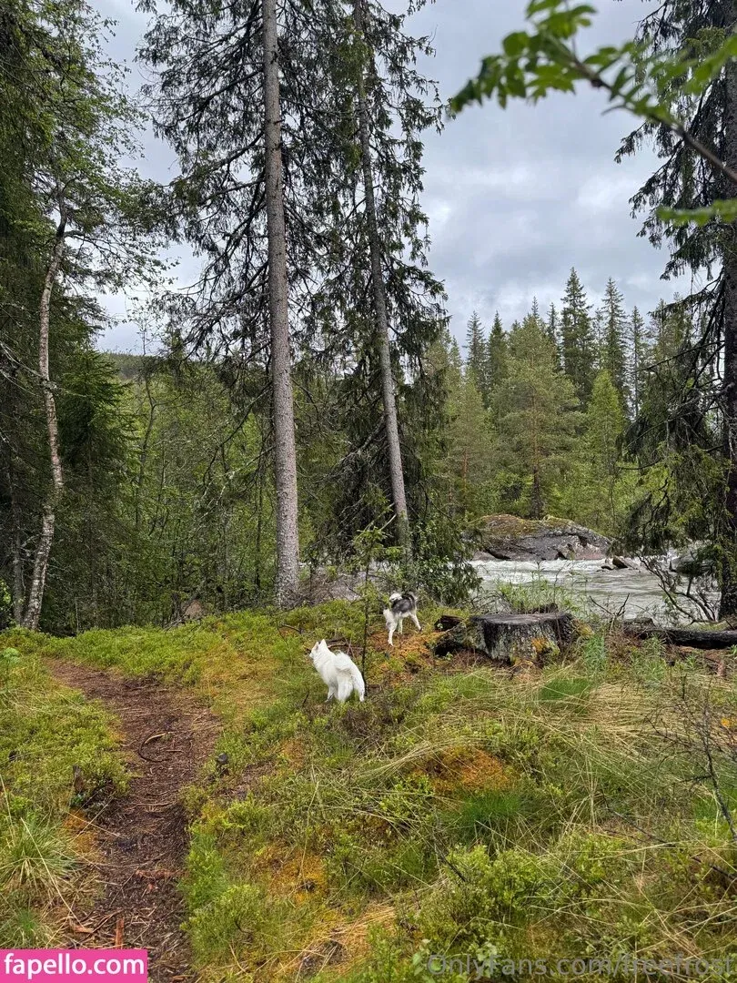 freefrost Onlyfans Photo Gallery 