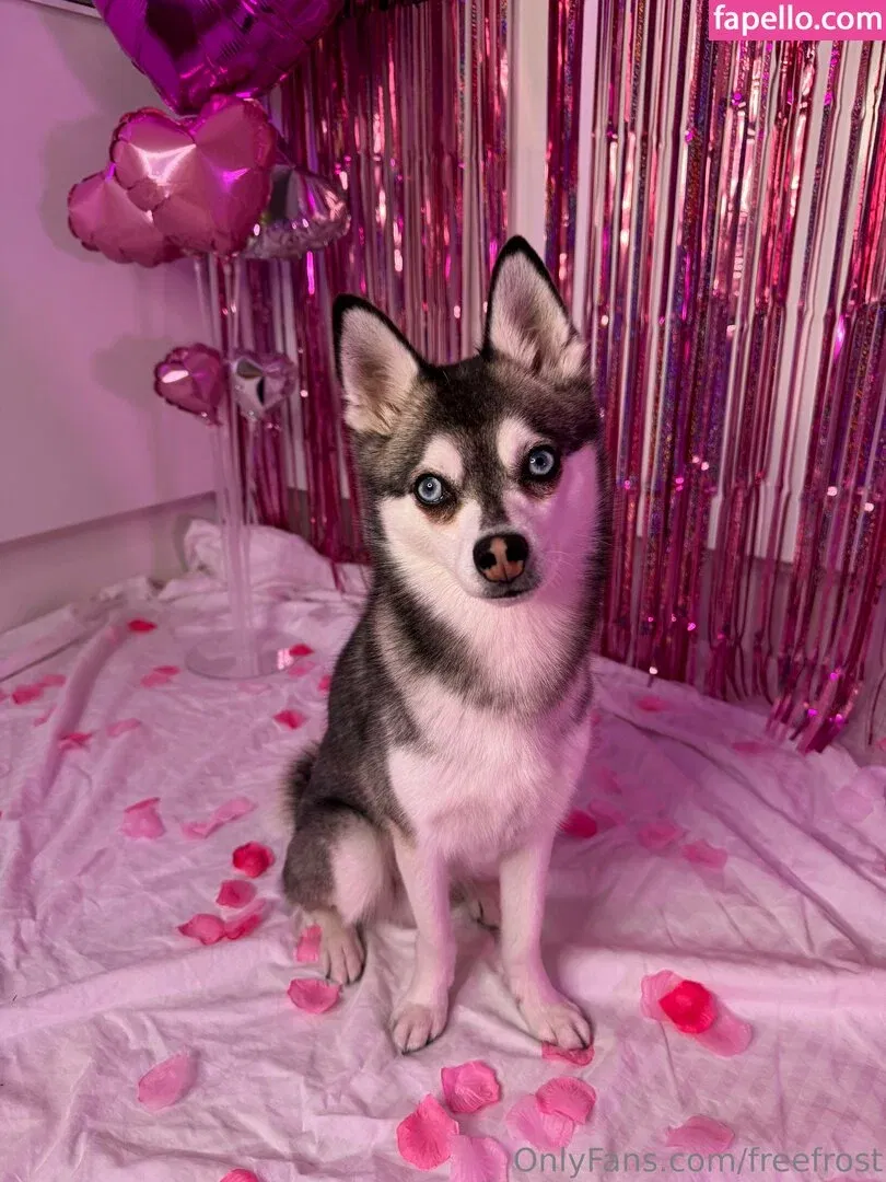 freefrost Onlyfans Photo Gallery 