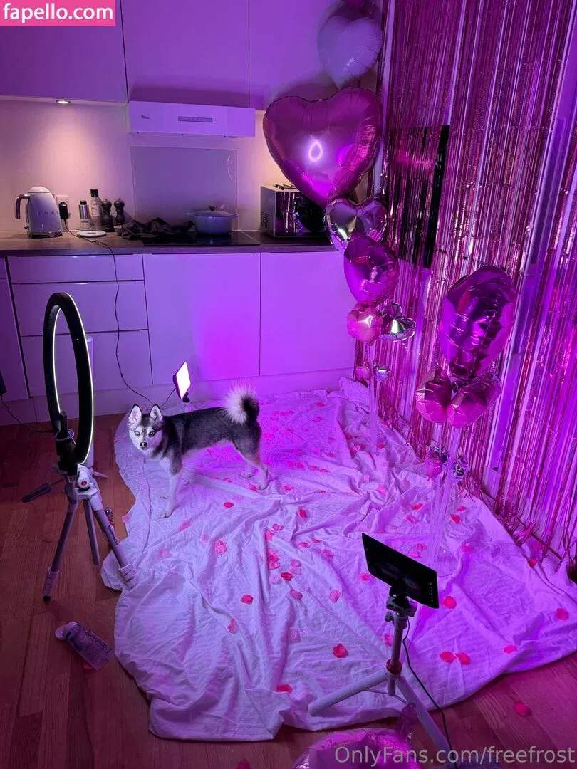 freefrost Onlyfans Photo Gallery 