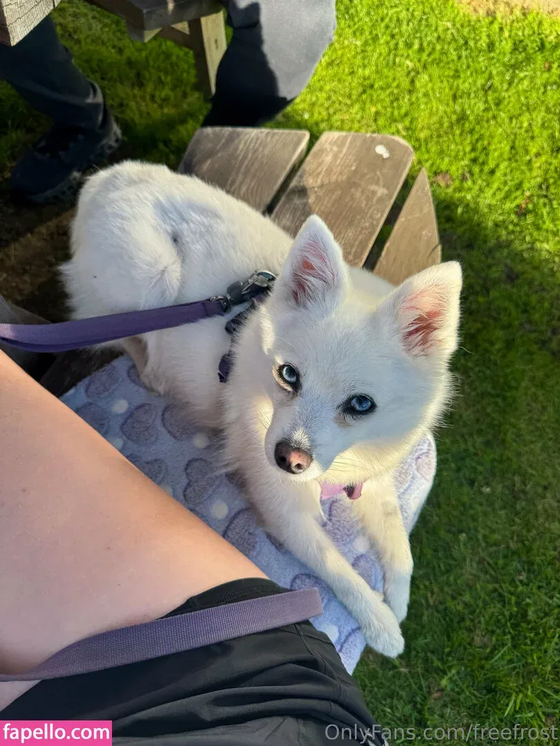 freefrost Onlyfans Photo Gallery 