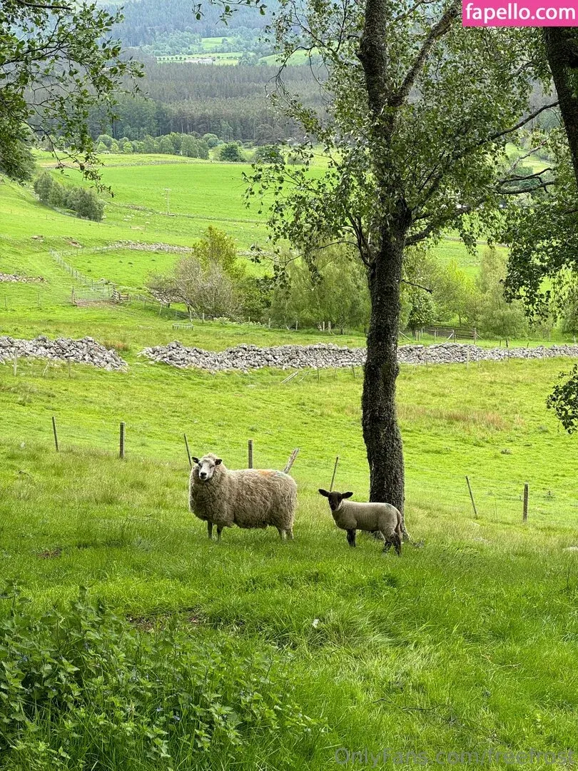 freefrost Onlyfans Photo Gallery 