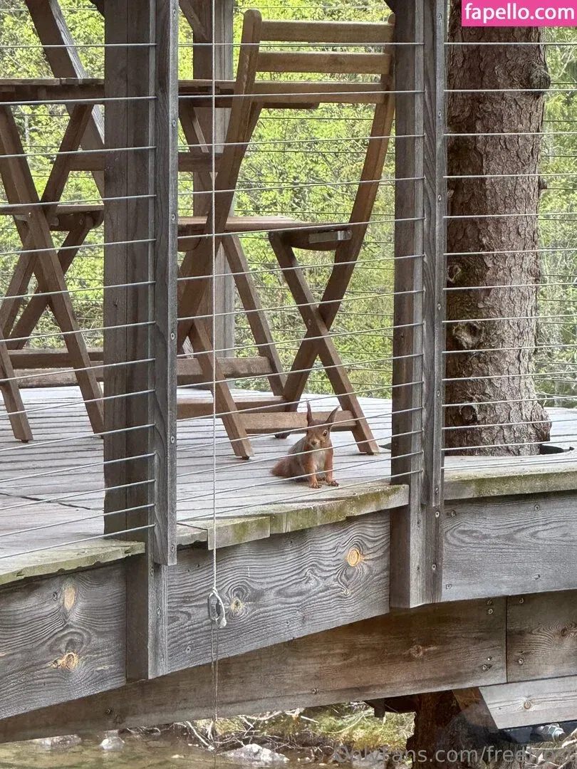 freefrost Onlyfans Photo Gallery 