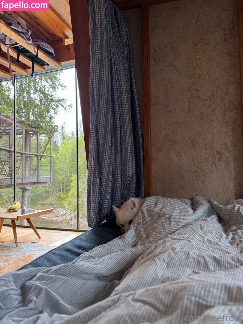 freefrost Onlyfans Photo Gallery 