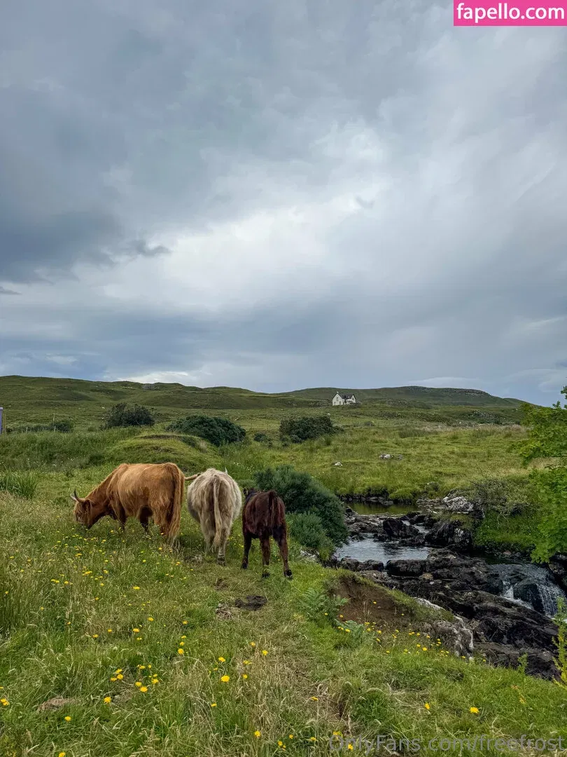 freefrost Onlyfans Photo Gallery 