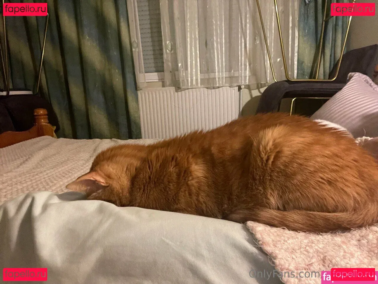 samyquin Onlyfans Photo Gallery 