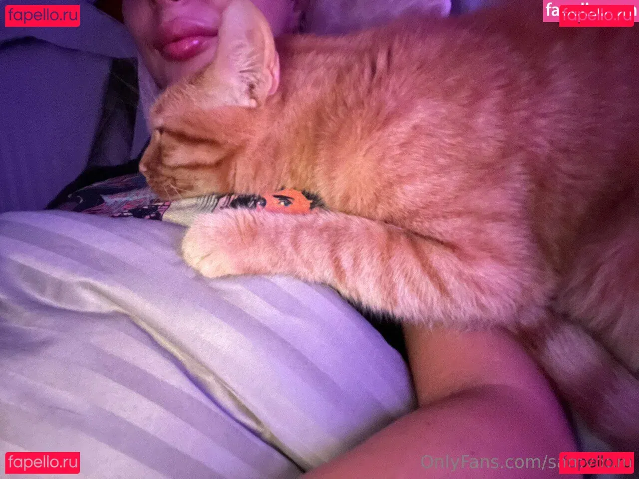 samyquin Onlyfans Photo Gallery 