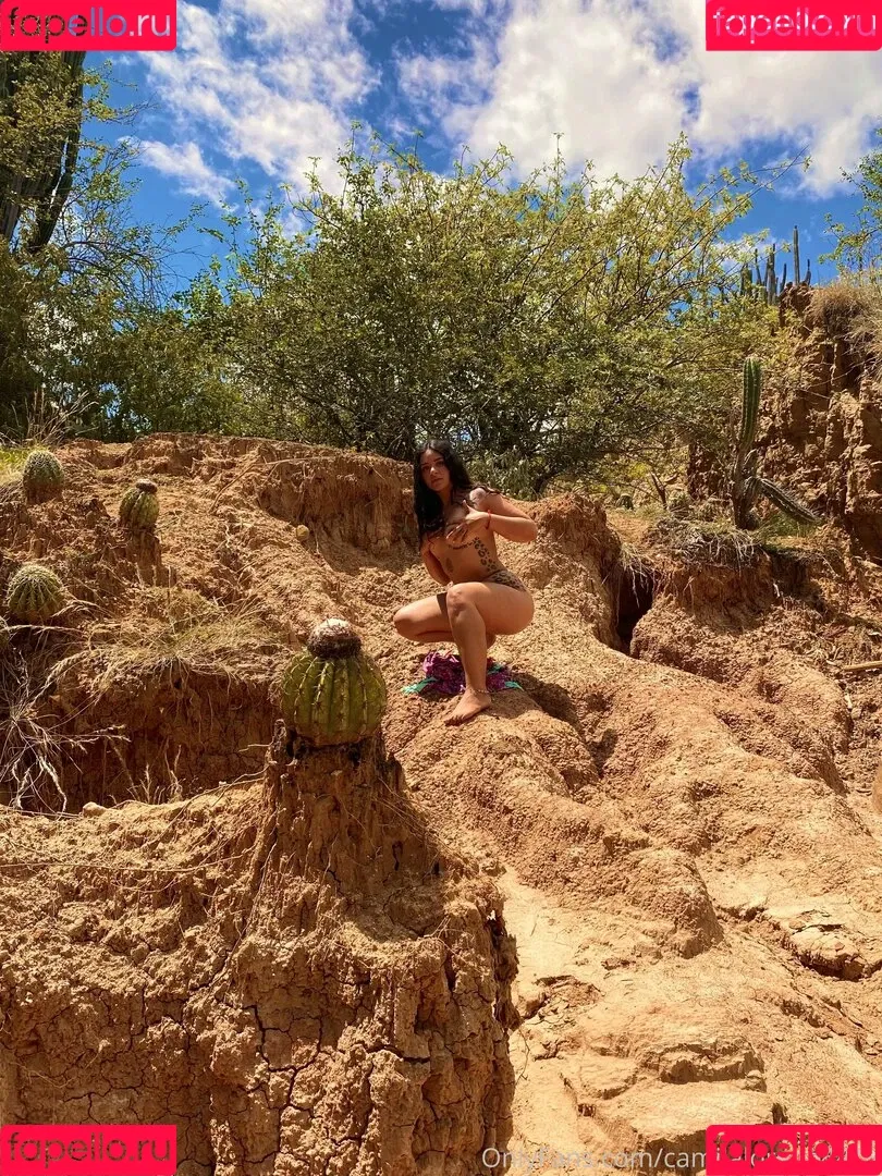 camilalorenanm Onlyfans Photo Gallery 