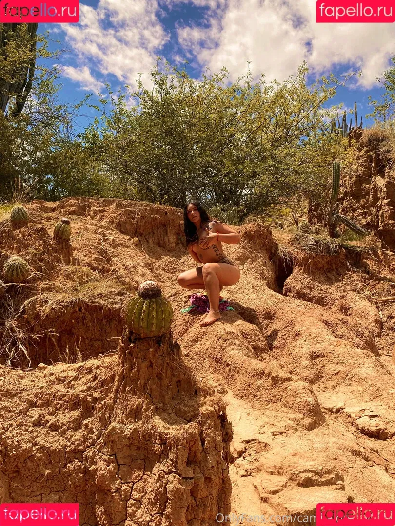 camilalorenanm Onlyfans Photo Gallery 
