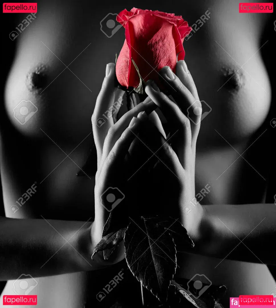 Red Rose Onlyfans Photo Gallery 