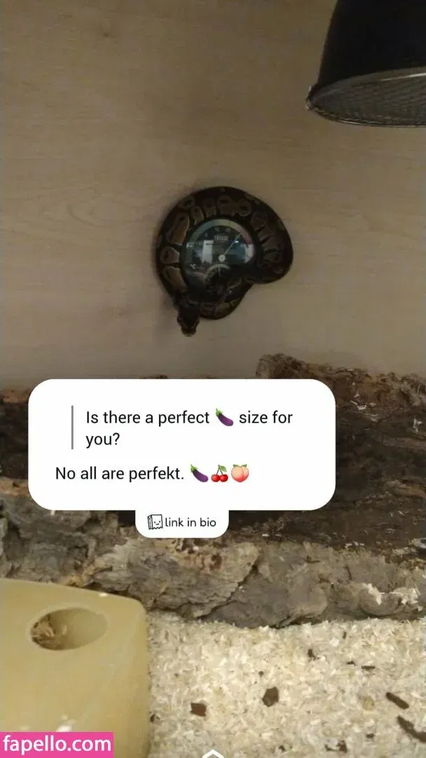 thethreeheadedsnake Onlyfans Photo Gallery 