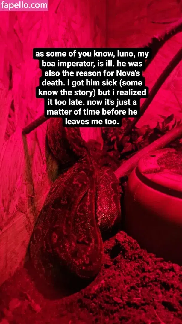 thethreeheadedsnake Onlyfans Photo Gallery 