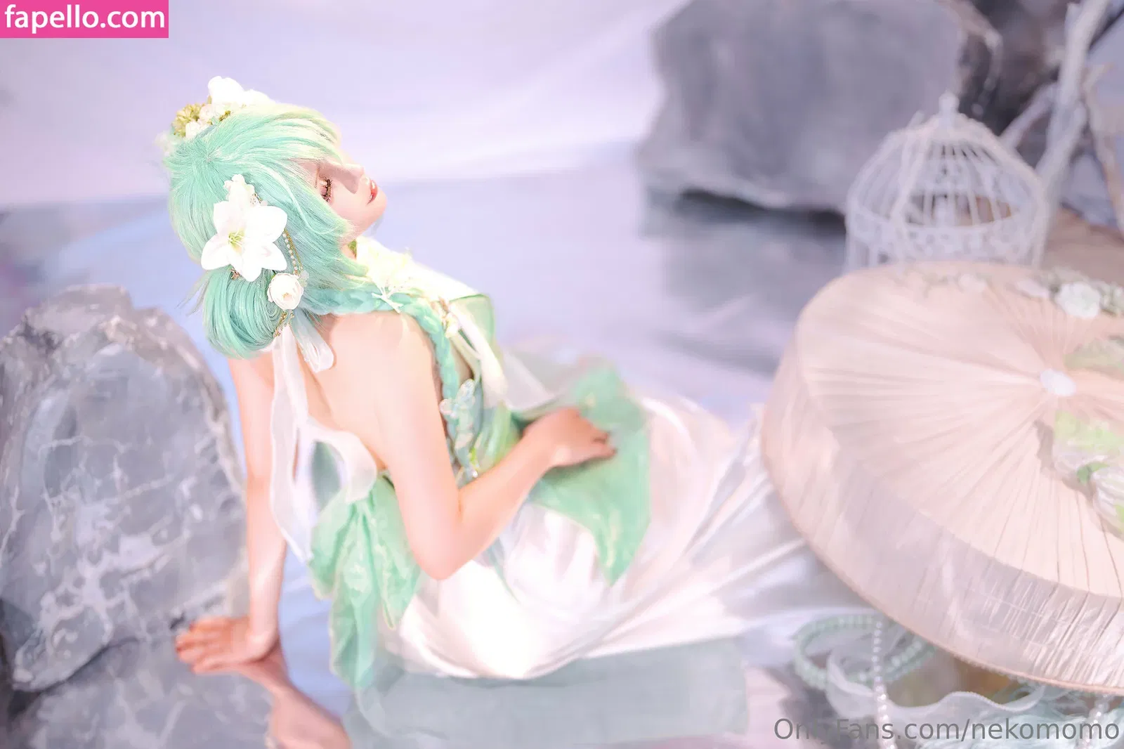 nekomomo Onlyfans Photo Gallery 