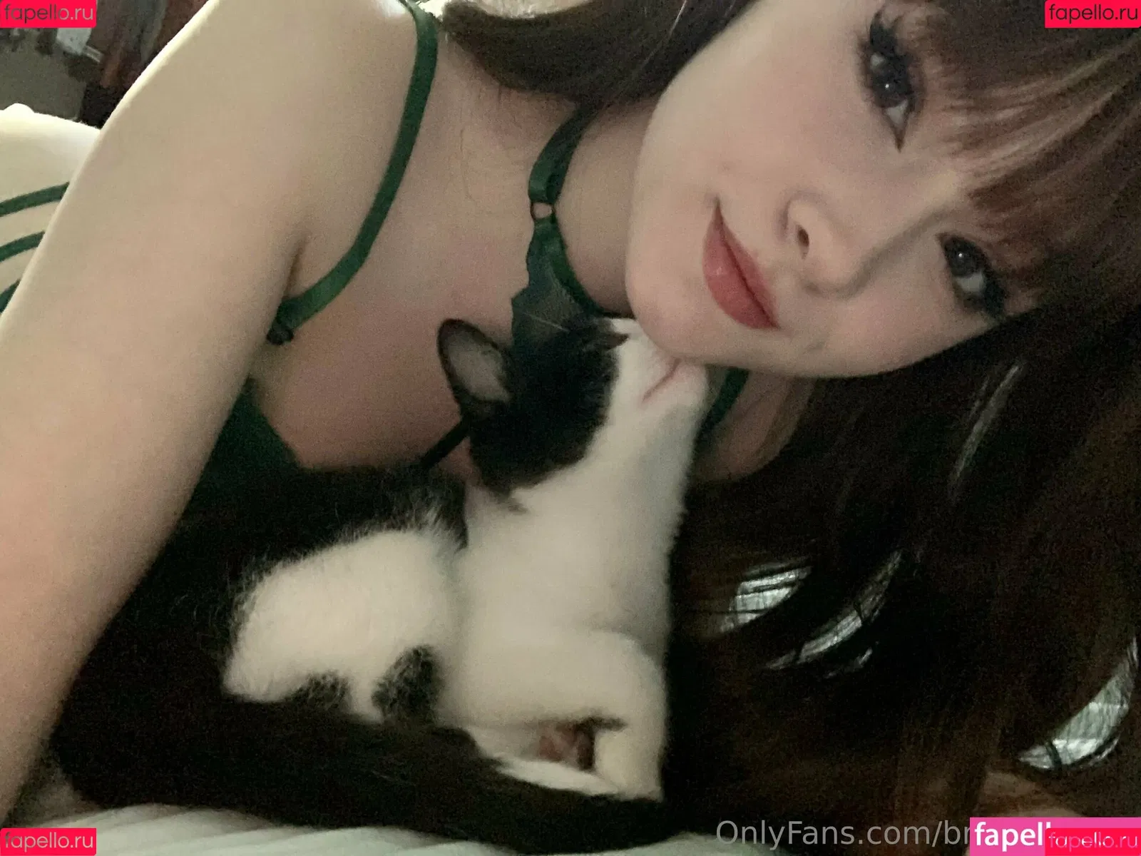 Breadboodle Onlyfans Photo Gallery 