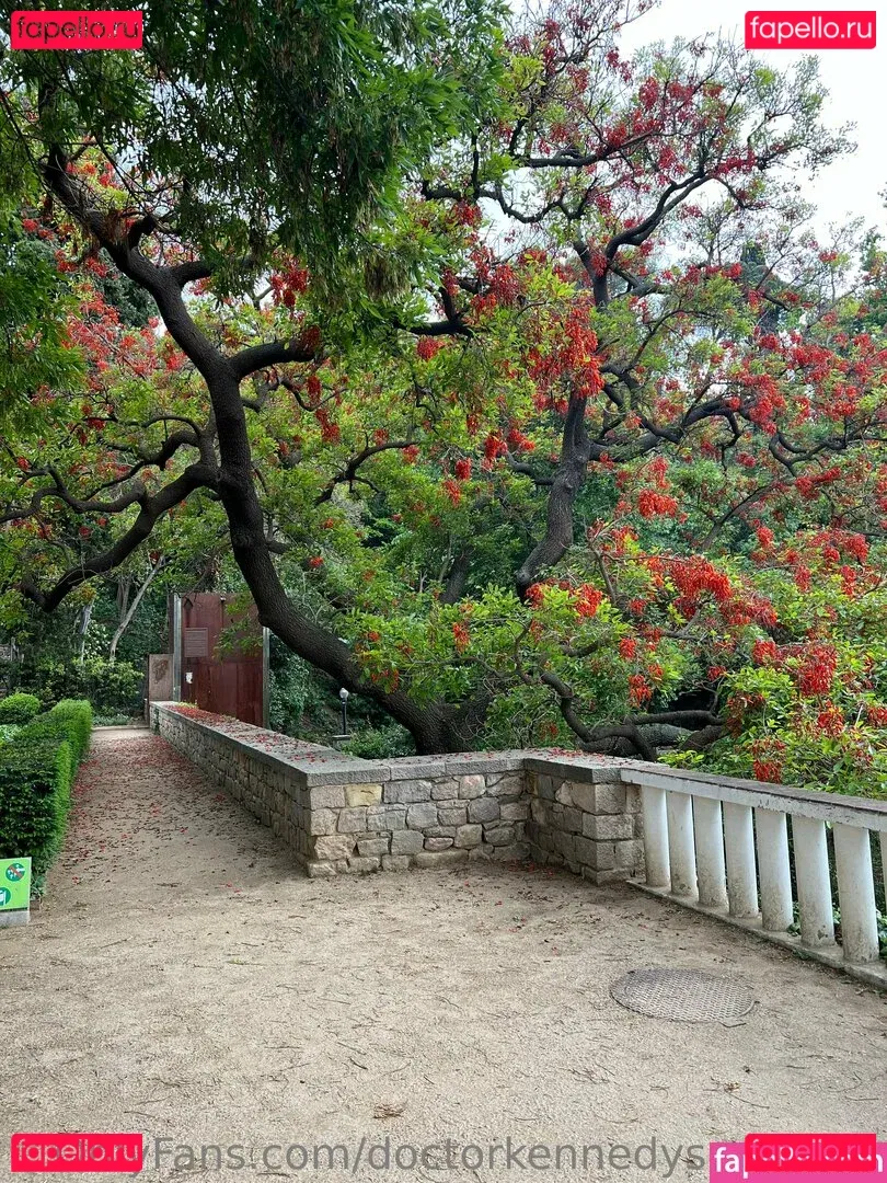 doctorkennedysummers Onlyfans Photo Gallery 