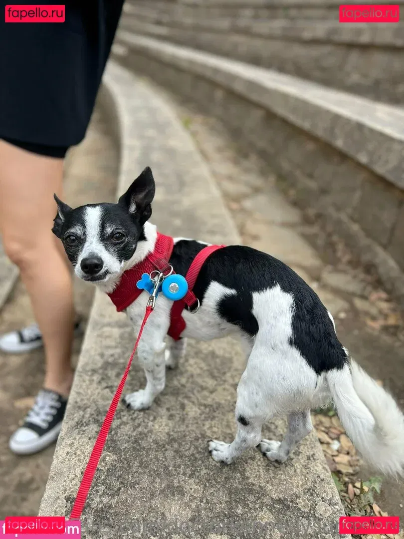 doctorkennedysummers Onlyfans Photo Gallery 