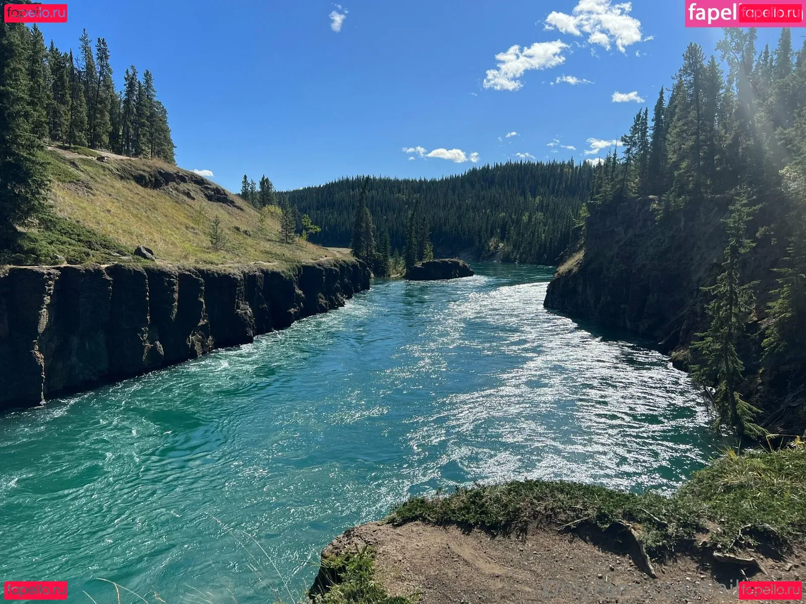 kailicious Onlyfans Photo Gallery 