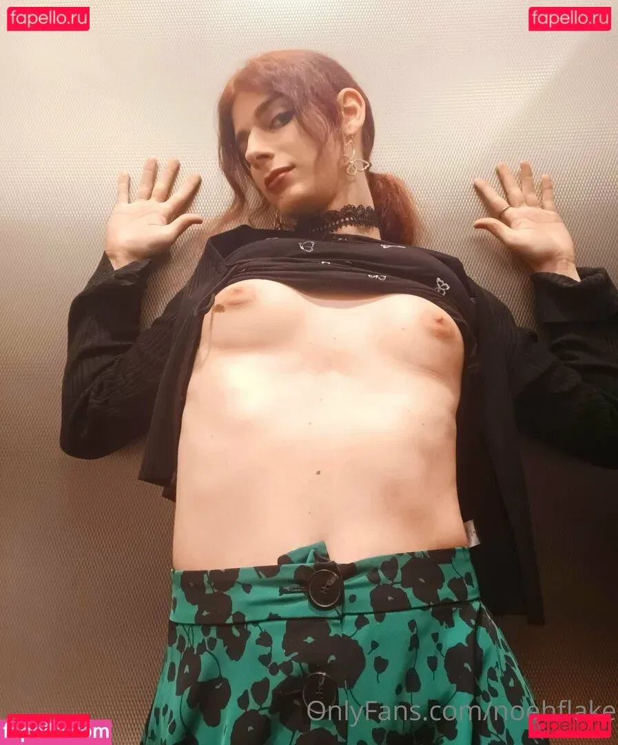 noehflake Onlyfans Photo Gallery 