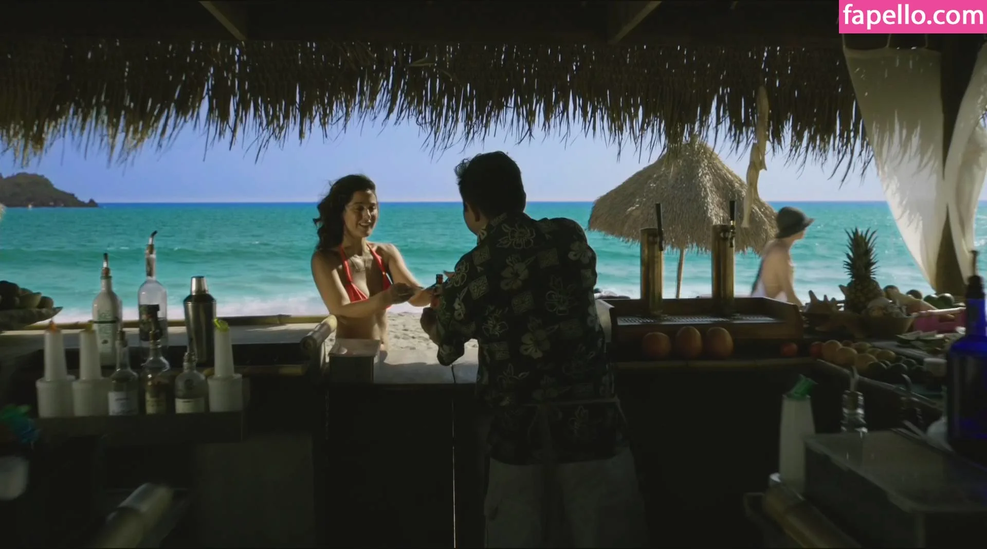 Emmanuelle Chriqui Onlyfans Photo Gallery 