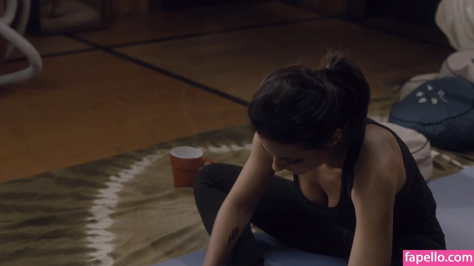 Emmanuelle Chriqui Onlyfans Photo Gallery 