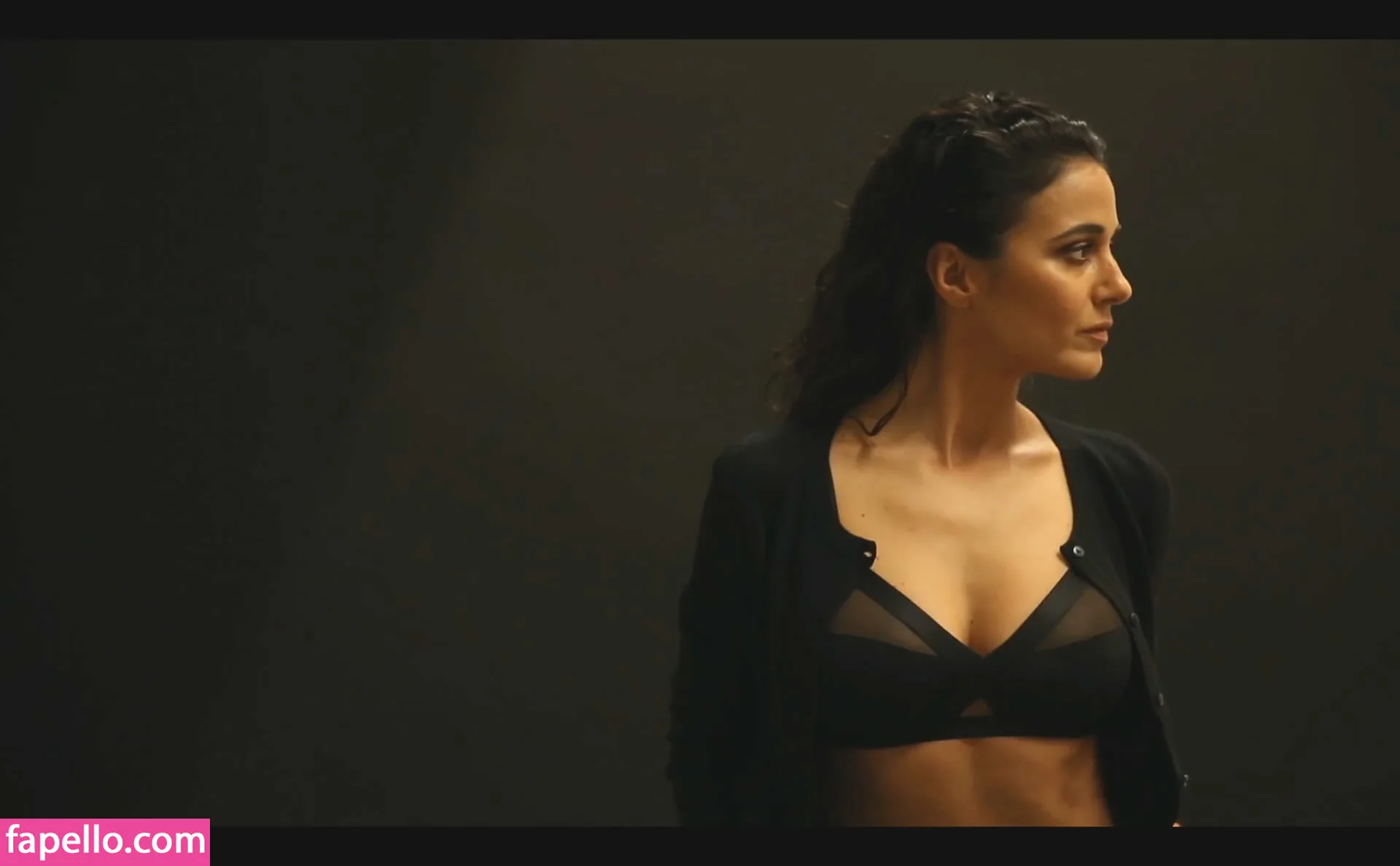 Emmanuelle Chriqui Onlyfans Photo Gallery 