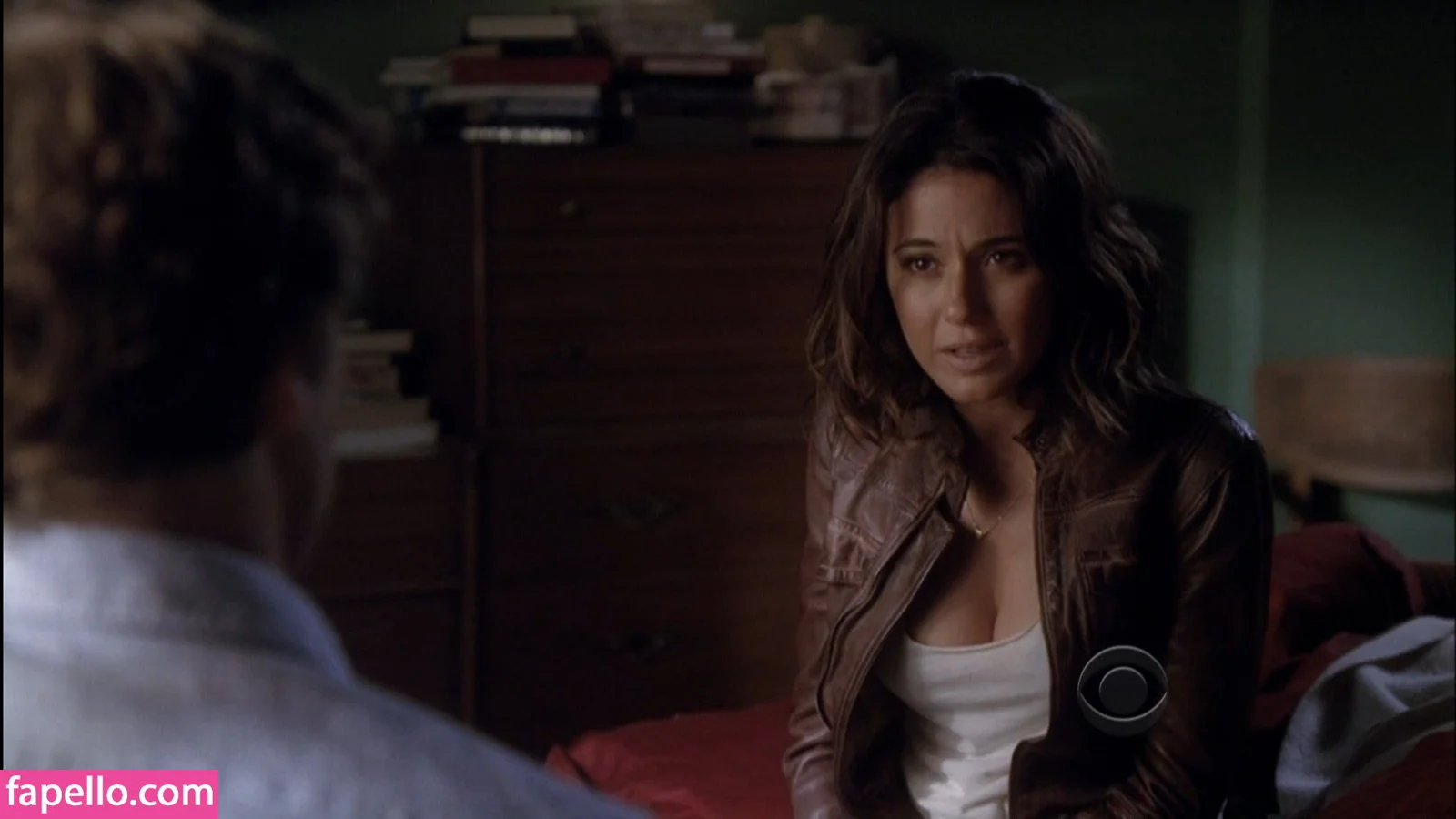 Emmanuelle Chriqui Onlyfans Photo Gallery 