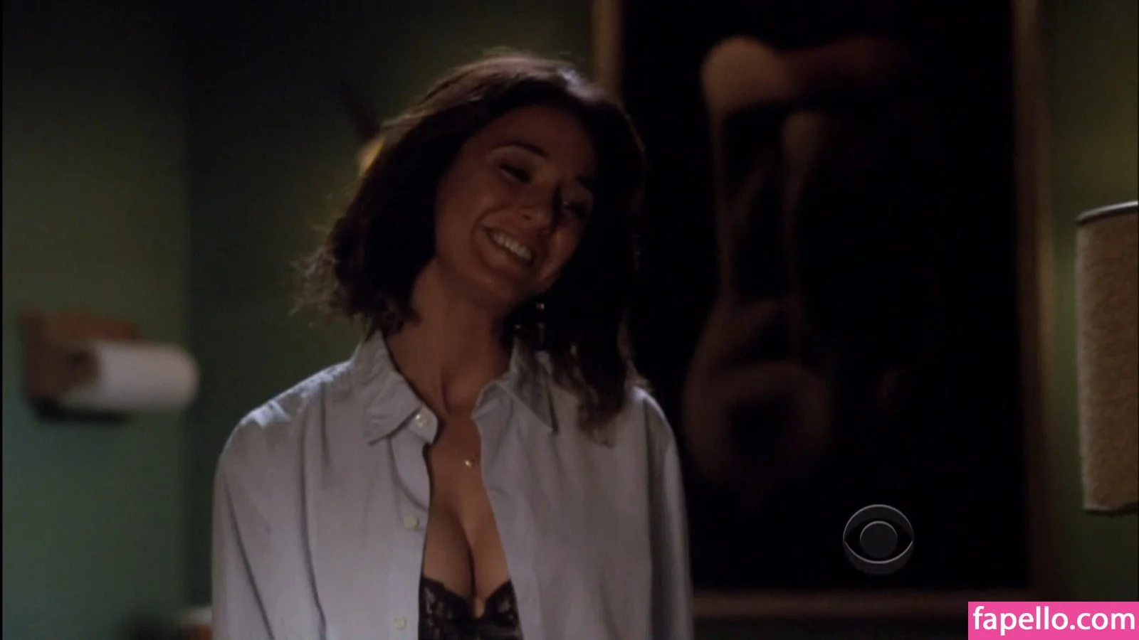 Emmanuelle Chriqui Onlyfans Photo Gallery 