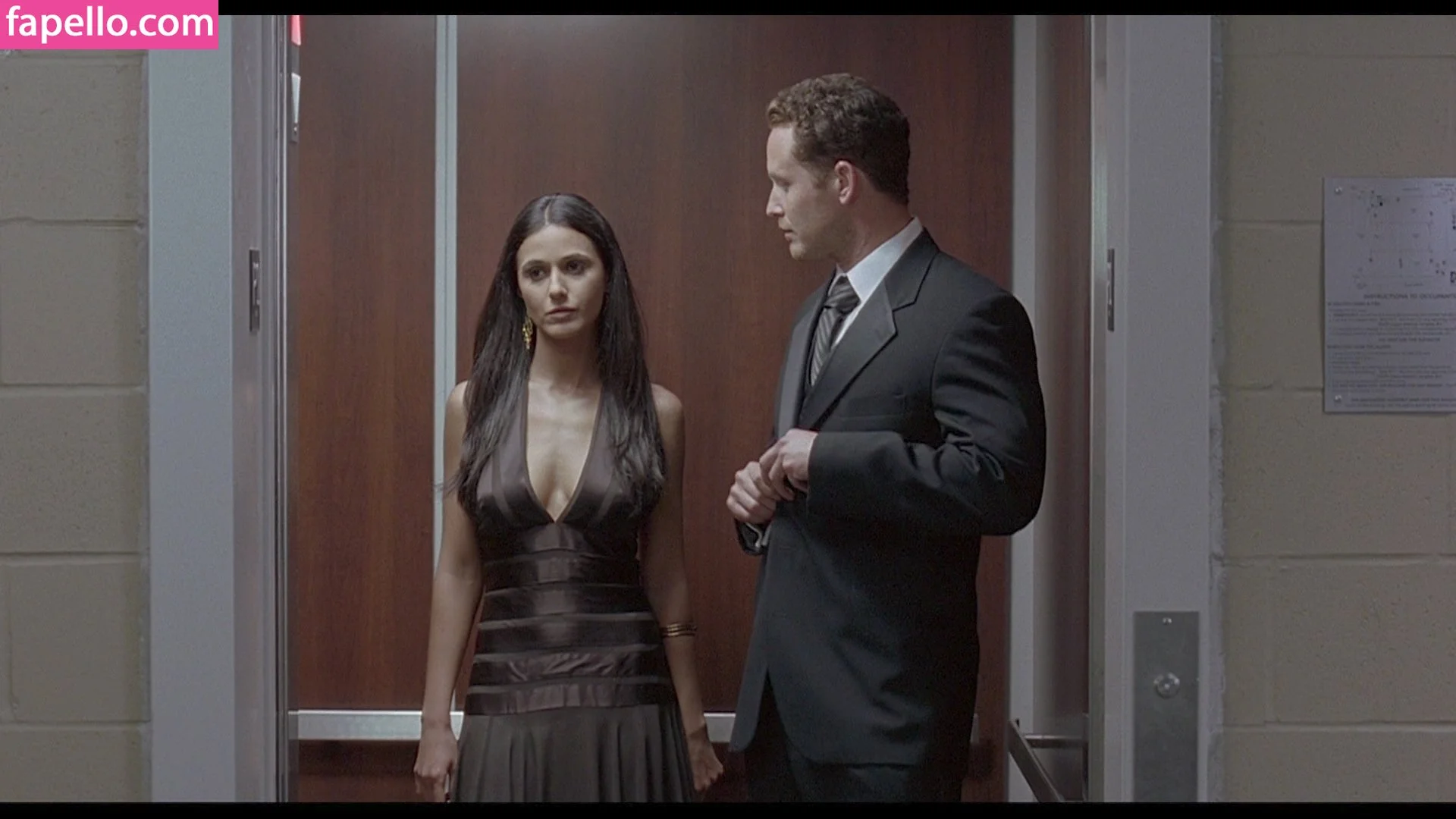 Emmanuelle Chriqui Onlyfans Photo Gallery 