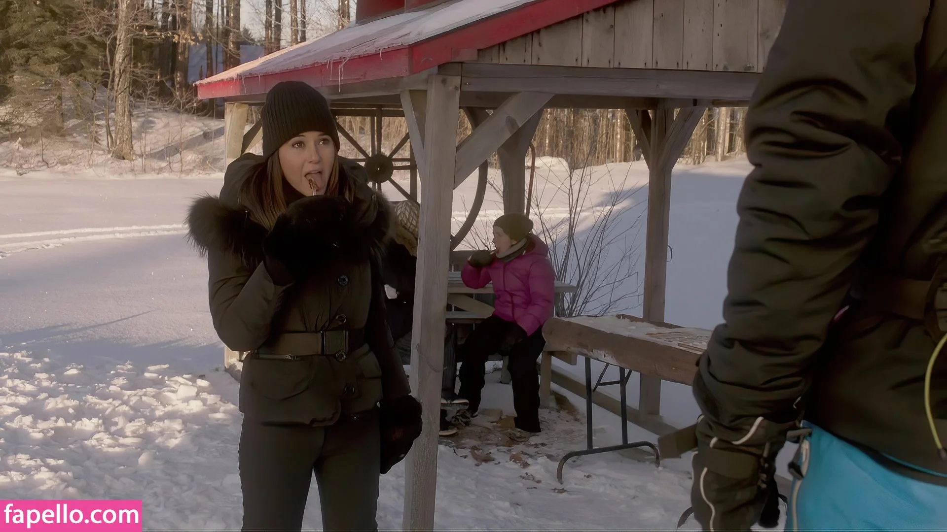 Emmanuelle Chriqui Onlyfans Photo Gallery 