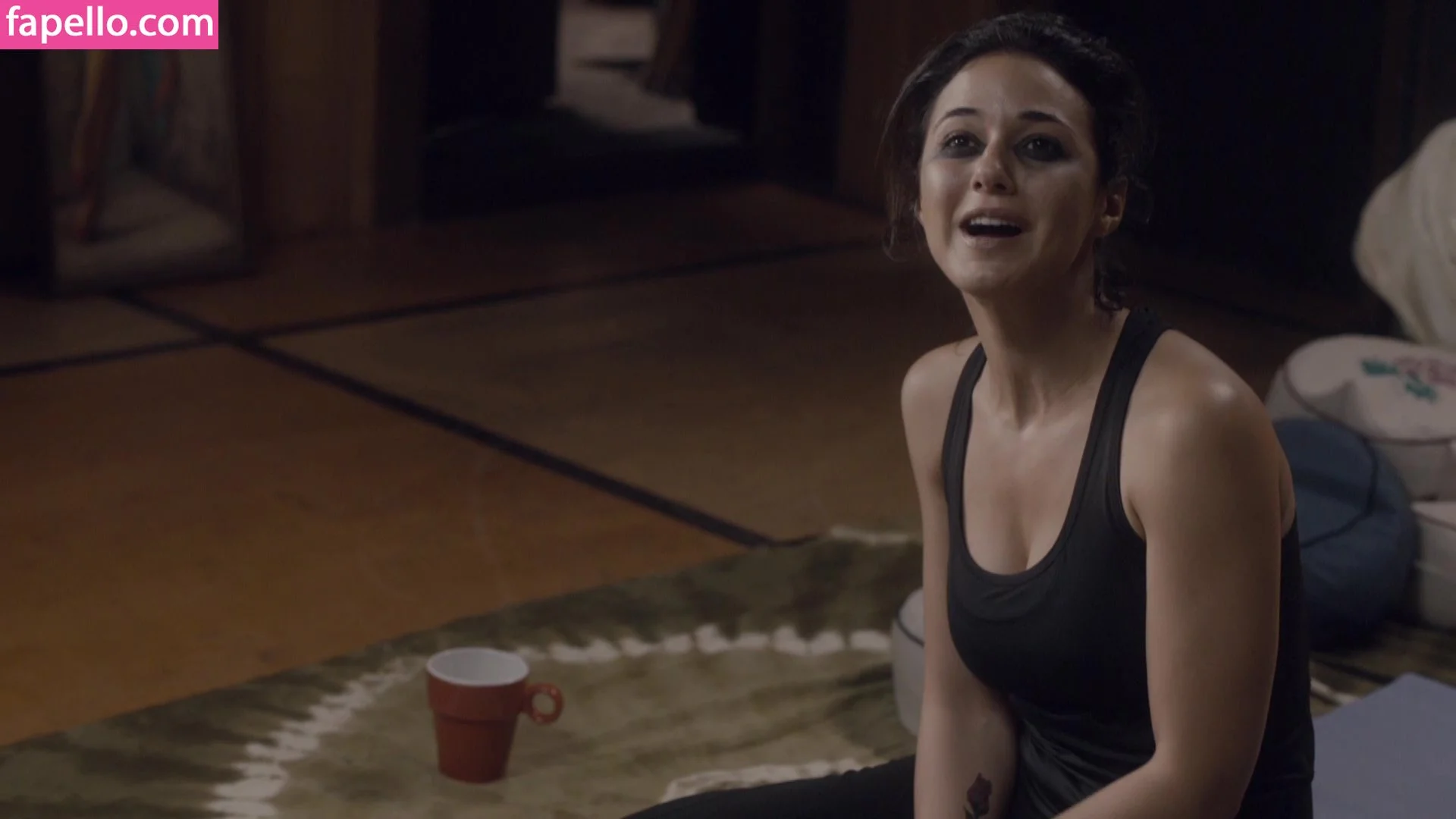 Emmanuelle Chriqui Onlyfans Photo Gallery 