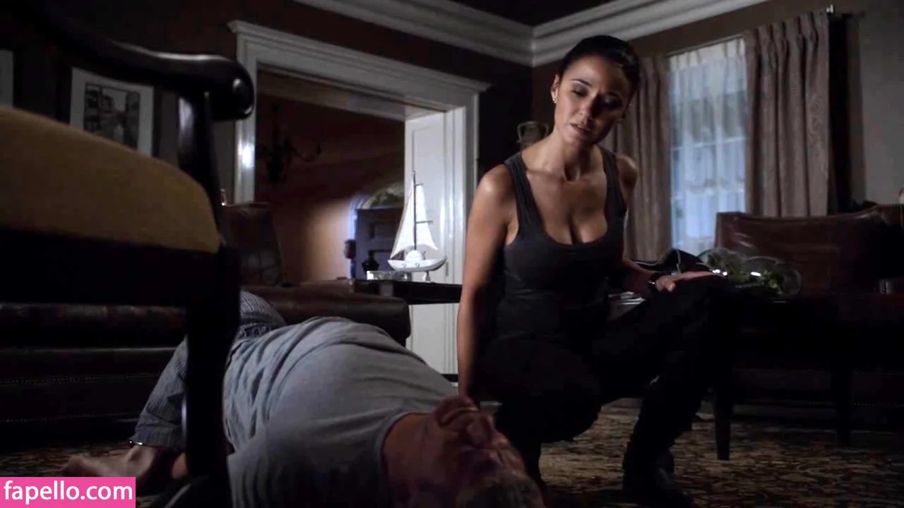 Emmanuelle Chriqui Onlyfans Photo Gallery 