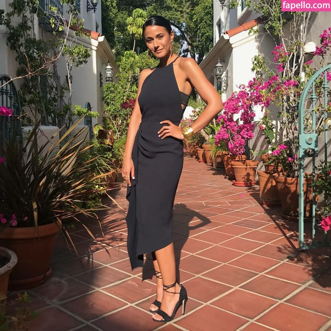 Emmanuelle Chriqui Onlyfans Photo Gallery 