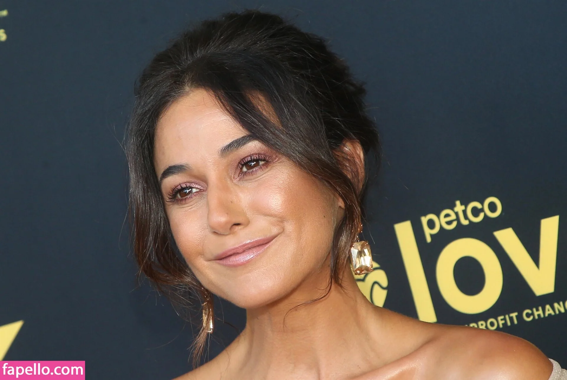 Emmanuelle Chriqui Onlyfans Photo Gallery 