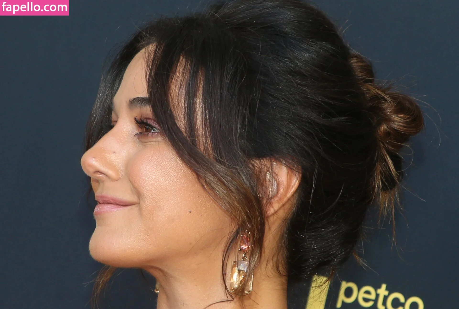 Emmanuelle Chriqui Onlyfans Photo Gallery 